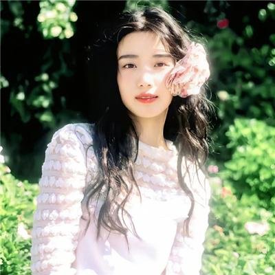 布里斯比熊